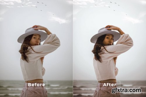 Asian Desktop and Mobile Lightroom Preset