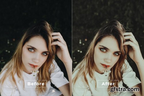 Awesome Desktop and Mobile Lightroom Preset