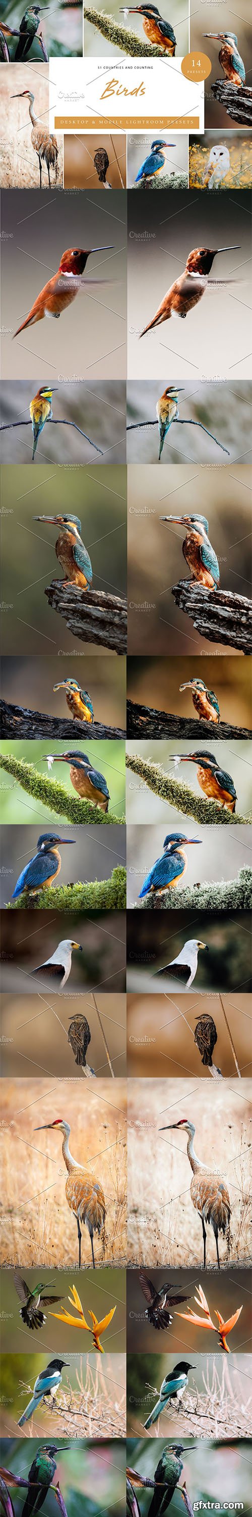 CreativeMarket - 14 x Lightroom Presets, Birds 6071305