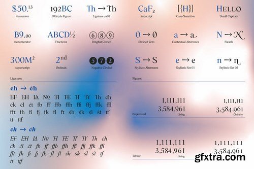 CM - BD Megalona  Text Serif Font Family 6118256