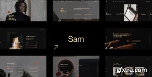 ThemeForest - Sam Bailey v1.0.0 - Personal CV/Resume WordPress Theme - 31873028