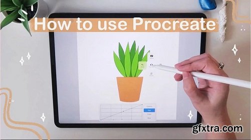 Procreate for Beginners: Learn The Basics & How To Draw