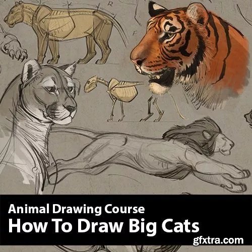 CreatureArtTeacher - Aaron Blaise - How to Draw Animals Course – Big Cats