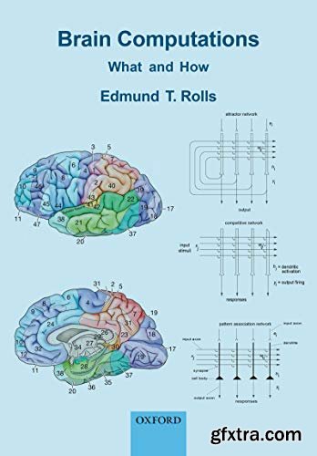 Brain Computations: What and How