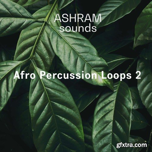 Riemann Kollektion ASHRAM Afro Percussion Loops 2 WAV