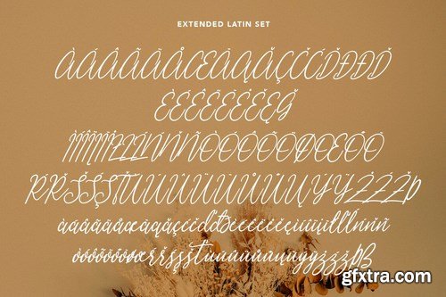 Pallpitas Slanted Script Font