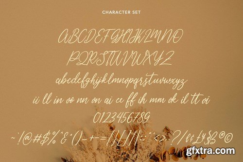 Pallpitas Slanted Script Font