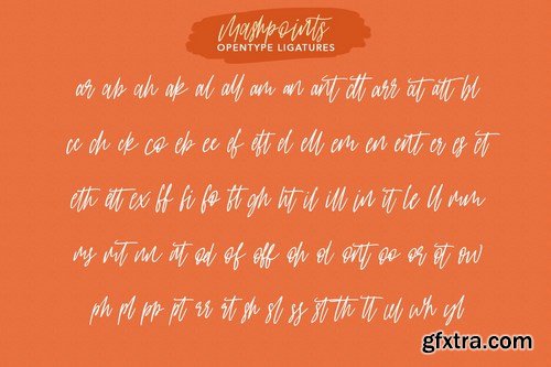 Mashpoints Handwritten Script Font