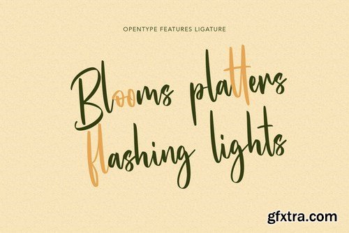 Hunnyflash Handwritten Font