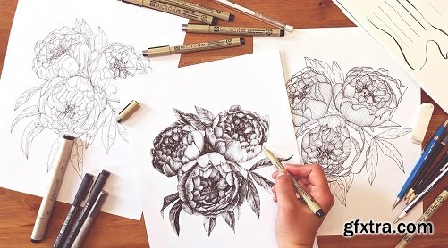 3 Line Art Styles: Mastering Botanical Drawing With Ink Pens