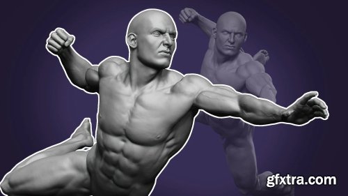 Dynamic Male Anatomy for Artists in Zbrush : Make Realistic 3D Human Model