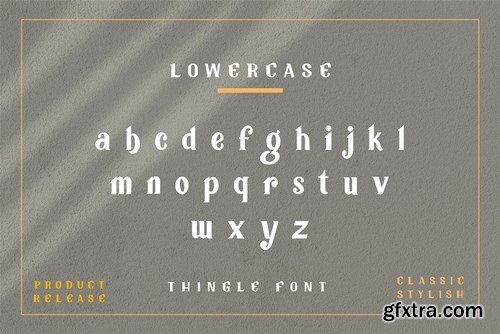 Tingle Modern Classy Font