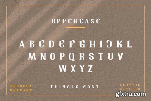 Tingle Modern Classy Font