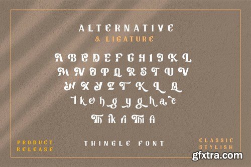 Tingle Modern Classy Font