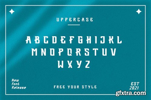 Fedorn Modern Classy Font