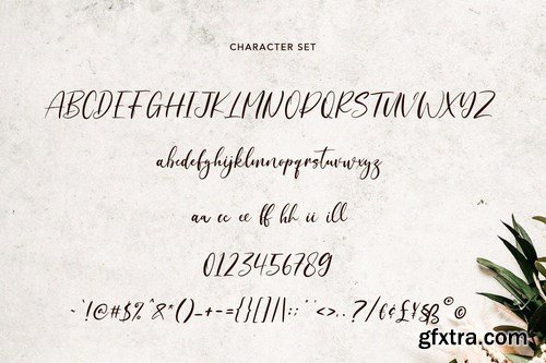 Dreamotions Handwritten Script Font