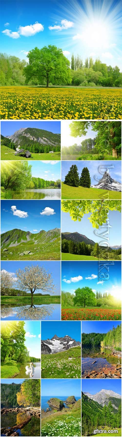 Beautiful nature in summer season stock photo