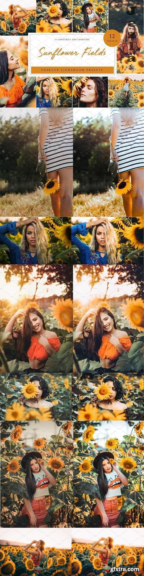 CreativeMarket - Sunflower Field Presets | Desktop 4792014