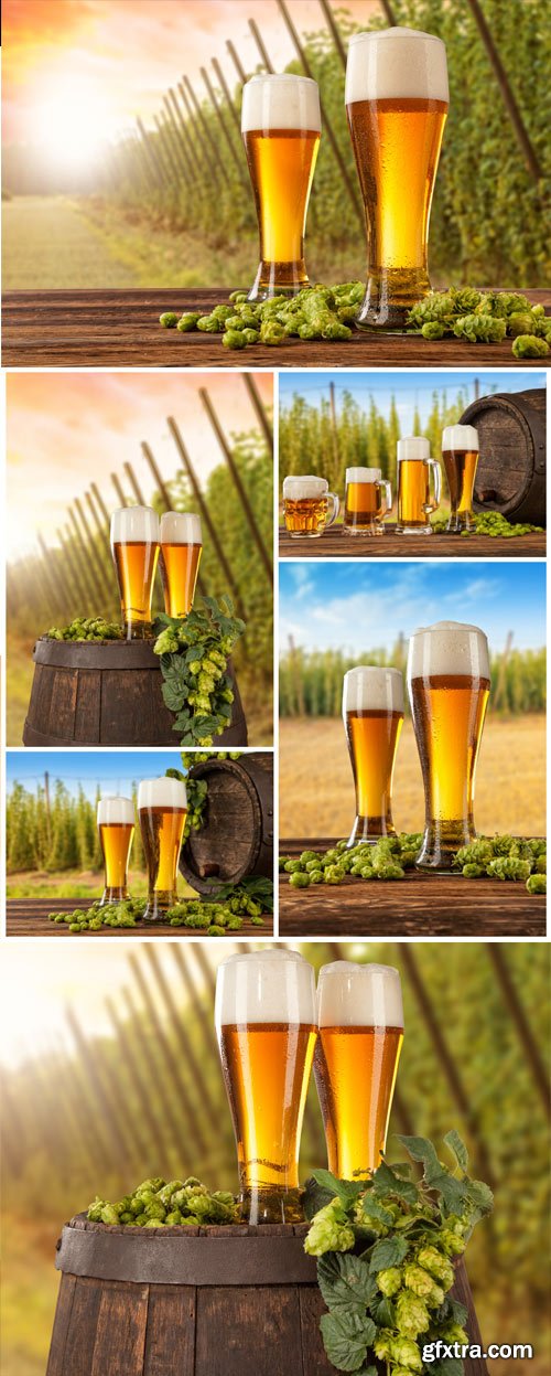 Glasses with beer on a barrel, branches of hops stock photo