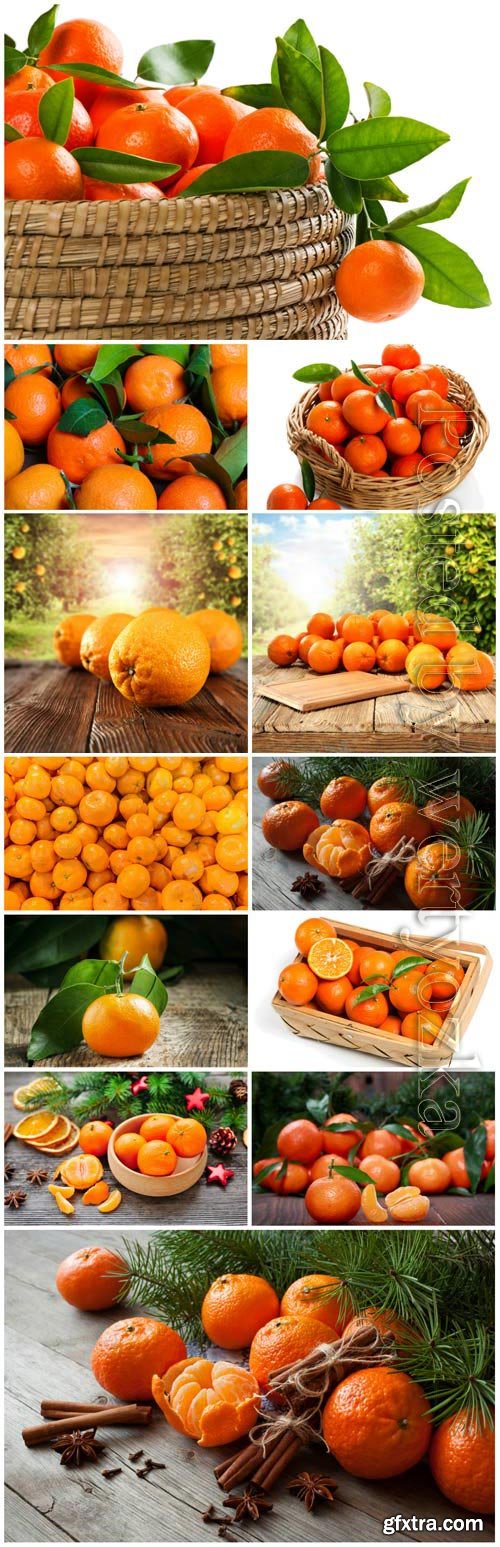 Tangerines and oranges stock photo