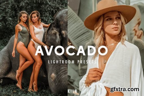 CreativeMarket - 5 AVOCADO LIGHTROOM PRESETS 4469008