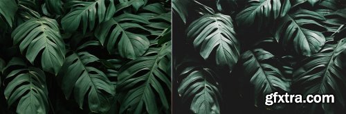 CreativeMarket - Rain Forest // Desktop Presets 4594872