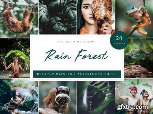 CreativeMarket - Rain Forest // Desktop Presets 4594872