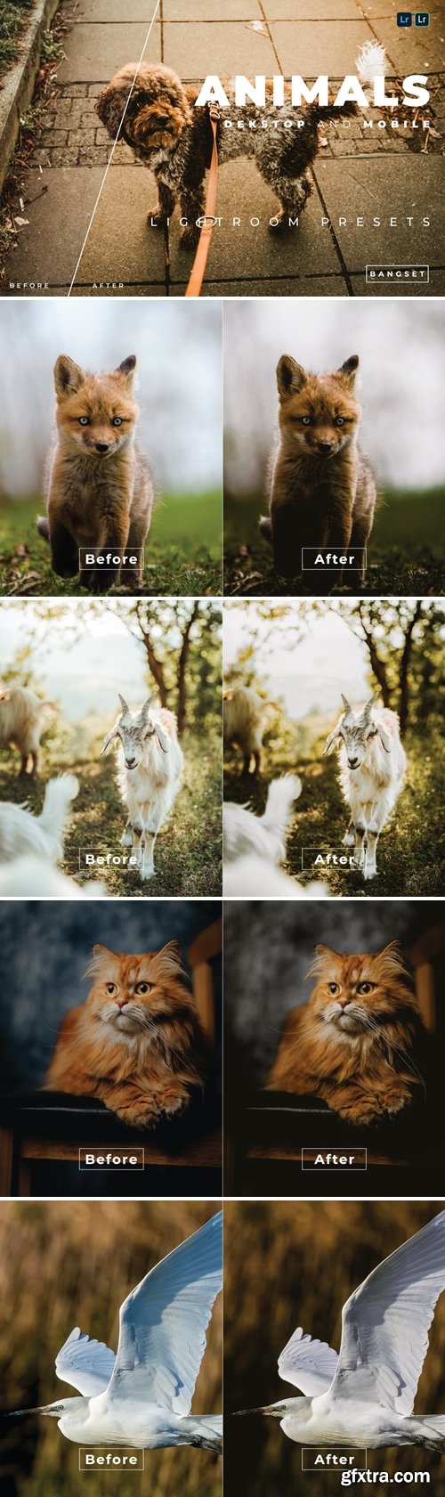 Animals Desktop and Mobile Lightroom Preset