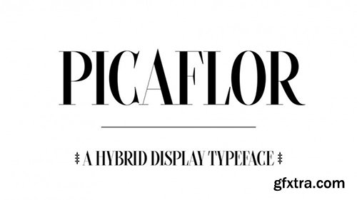 Picaflor Font