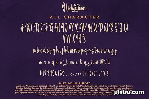 Hodgetown - Modern Script Font