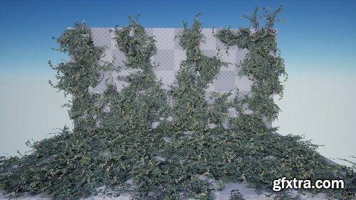 Ivy Foliage Pack 4K