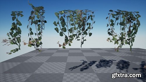 Ivy Foliage Pack 4K