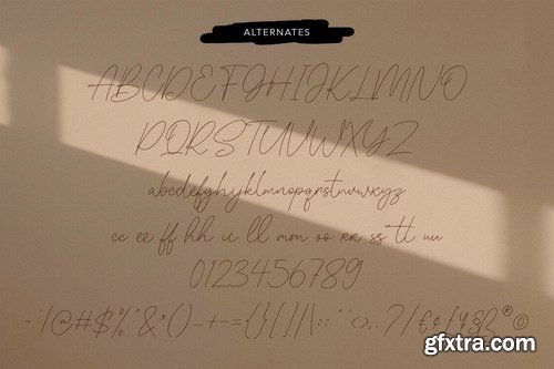 Jollytimes Signature Font