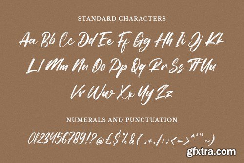 Finesolla - Brush Font