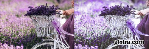 CreativeMarket - Desktop Presets | Lavender - 4789375