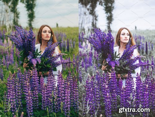 CreativeMarket - Desktop Presets | Lavender - 4789375