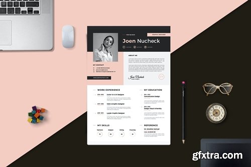 Professional Job CV Resume Template