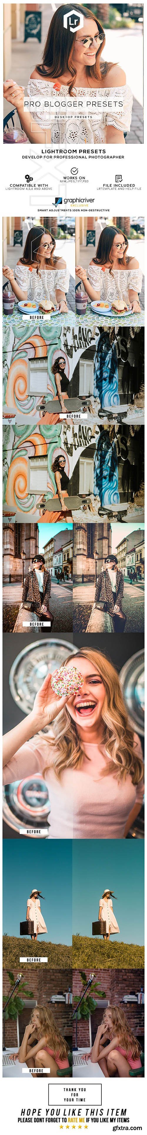 GraphicRiver - 24 Pro Blogger Presets 25591496