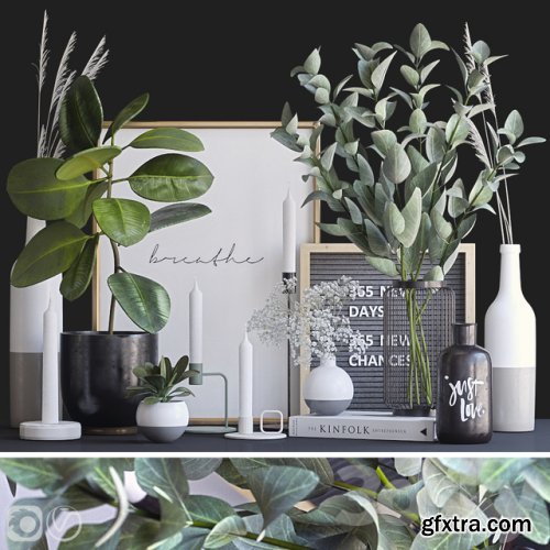 Decorative set with ficus and eucalyptus