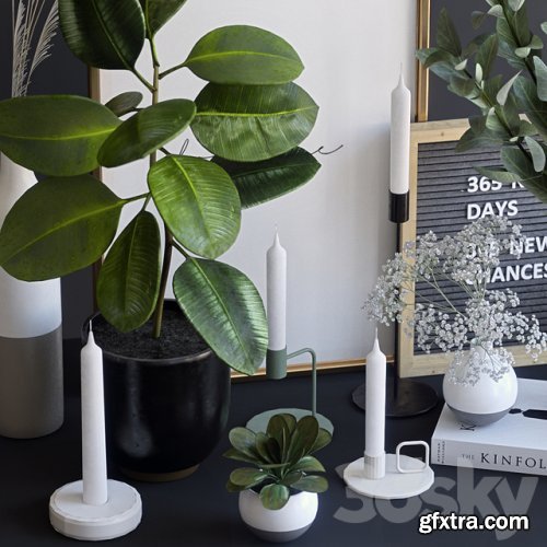 Decorative set with ficus and eucalyptus