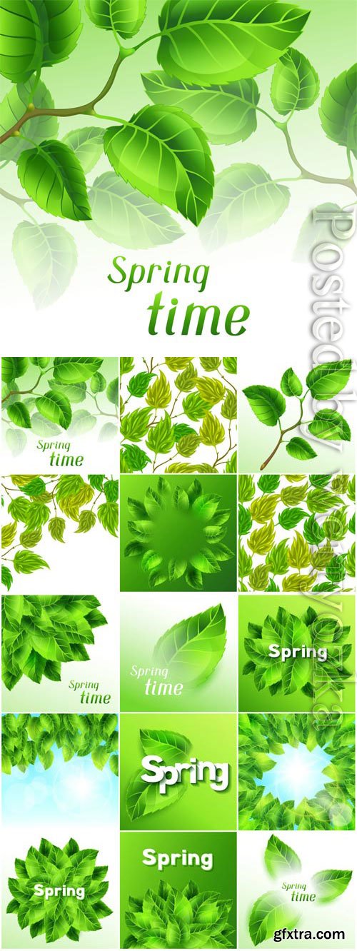 Green leaves on white background in vector