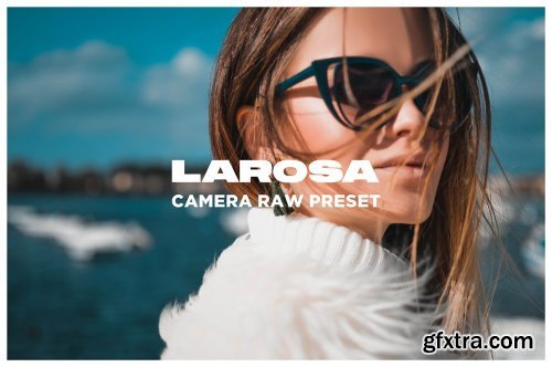 CreativeMarket - Larosa - Camera Raw Preset 4483323