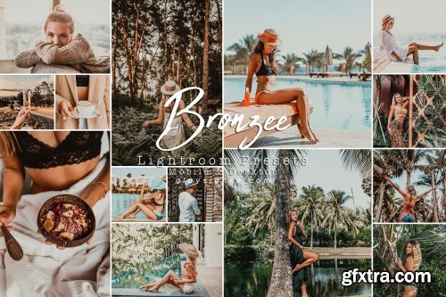 CreativeMarket - 73. Bronzee Presets 4490134