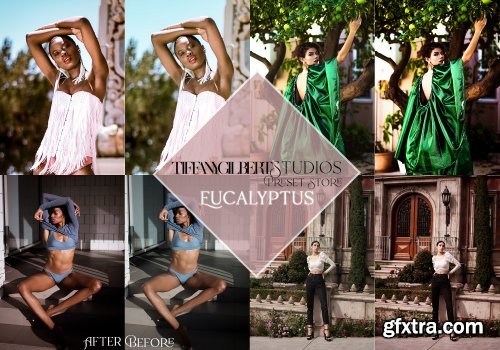 CreativeMarket - Fashion Lightroom Preset Bundle 4765298