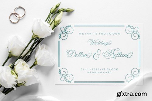 Felitta Calligraphy Font