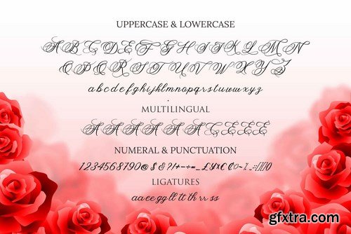 Felitta Calligraphy Font