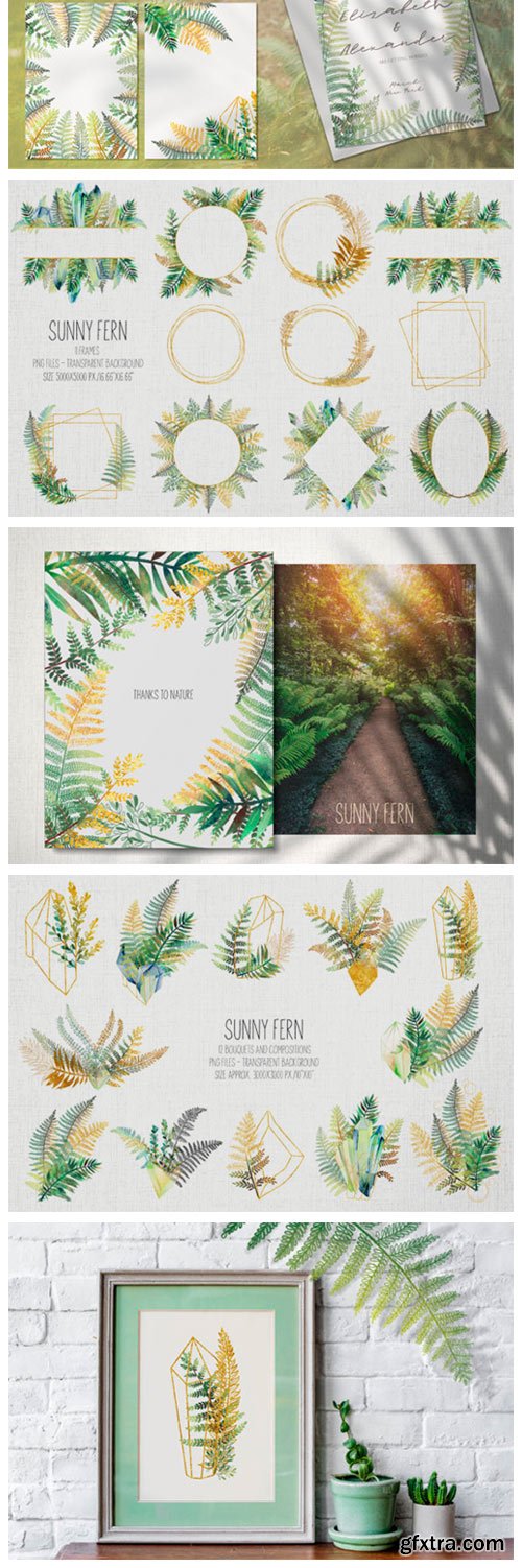 Sunny Fern Collection 12049944