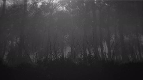 Videohive - Mystical horror background with dark blue forest and fog - 32275886 - 32275886