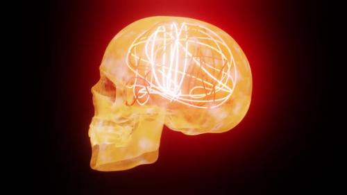 Videohive - Brain Neon Work In Skull HD - 32290797 - 32290797