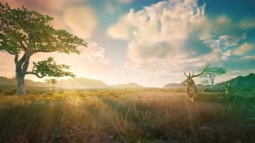 Videohive - Savanna Grassland HD - 32291229 - 32291229